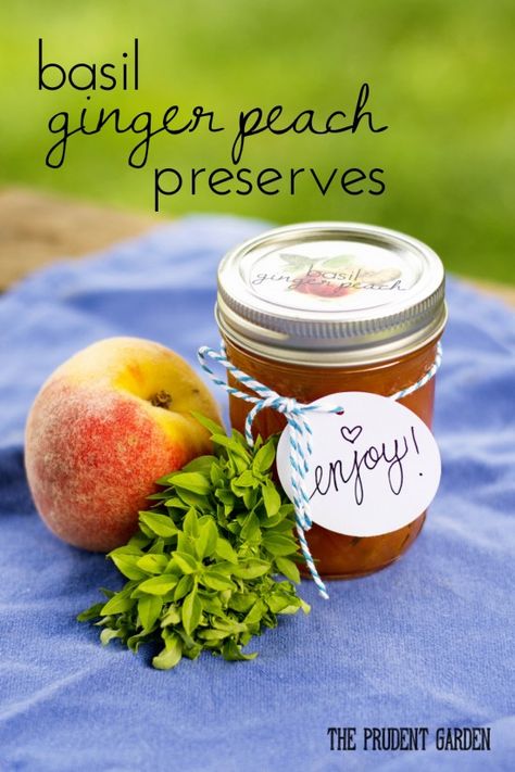 Basil Ginger Peach Preserves + Free Printable Labels Basil Jam, Gifts From The Garden, Preserving Basil, Growing Okra, Peach Basil, Peach Preserves, Ginger Peach, Garden Growing, Peach Jam