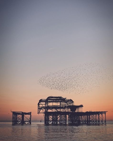 Brighton West Pier, Brighton Pier, James Bay, Listed Building, Aesthetic Photos, Look Here, Photography Inspo, Aesthetic Photo, How Beautiful