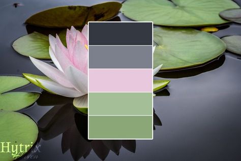 Water Lilies Aesthetic, Lilies Aesthetic, Pink And Green Color Palette, Aesthetic Color Palette, Pond Lily, Palette Blue, Laurel Green, Green Color Palette, Grey Palette