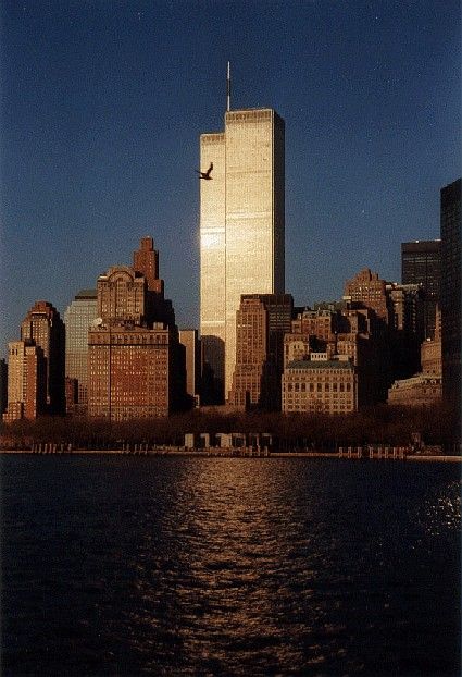 NYC. Golden brightness...I will never forget the morning I spent taking pictures from atop the twin towers! Twin Towers Collapse, 1990s Aesthetic, World Trade Center Nyc, The Twin Towers, Nyc History, Sea Wallpaper, Nyc Aesthetic, New York Aesthetic, Trade Centre