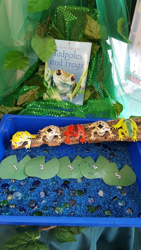 5 Speckled Frogs 5 Speckled Frogs Activities, Oi Frog Activities Eyfs, 5 Speckled Frogs, Number Rhymes, 5 Little Speckled Frogs, Speckled Frogs, Story Sacks, Frog Activities, Eyfs Ideas