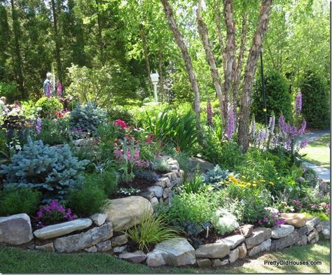 Garden With Rocks, Garden Landscaping Design Ideas, Terraced Landscaping, Hillside Landscaping, Sloped Garden, Garden Shrubs, Rock Garden Landscaping, Garden Landscape Design, Landscaping With Rocks