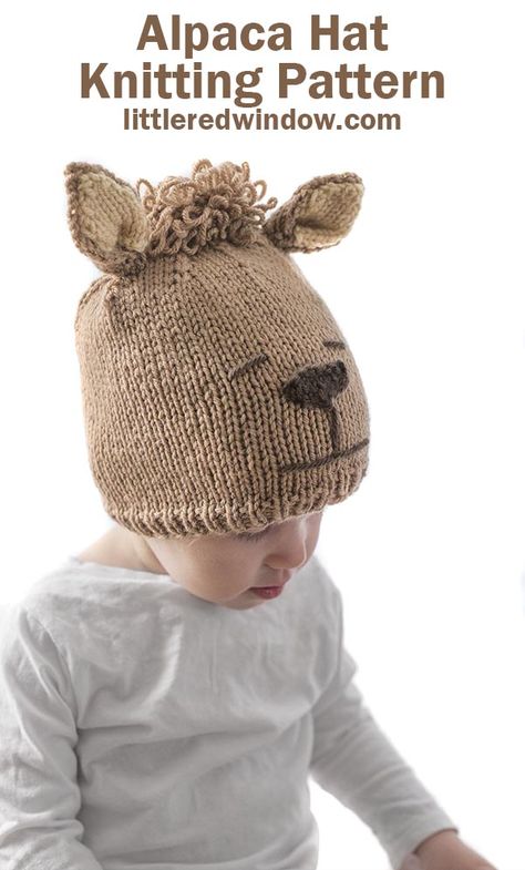 This adorable Alpaca Hat Knitting Pattern will be the most fun you've hat knitting in a long time! Knit up a cute baby alpaca hat for your newborn, baby or toddler! Knitted Crafts, Baby Otter, Knitting Things, Alpaca Hat, Newborn Girl Hat, Double Pointed Knitting Needles, Kids Knitting Patterns, Baby Hat Knitting Pattern, Hat Knitting Pattern