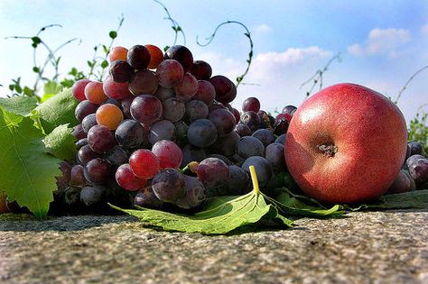 Biblical Diet, Bible Food, Bible Diet, Vacation Bible School Themes, Grape Vineyard, Family Bible Study, Jesus Photo, Bible Time, Mediterranean Diet Recipes