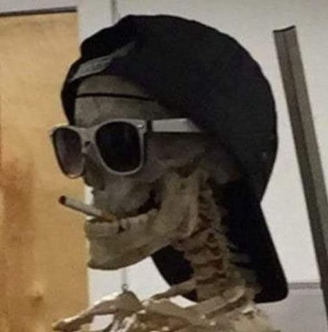 Halloween Profile Pics, Skeleton Pics, Ig Profile Pic, Cool Skeleton, Whatsapp Profile Picture, Insta Profile, Funny Skeleton, Swag Cartoon, A Skeleton