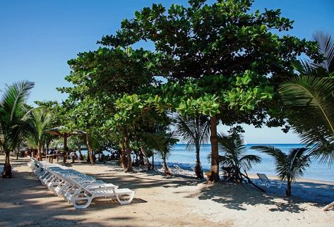 After spending a number of days in Roatan I finally figured out the mystery of Tabyana Beach! While it doesn’t really say it anywhere, Tabyana Beach is another name for West Bay Beach. There is a resort directly on West Bay Beach that is named the Tabyana Beach Resort. It sits on the south end […] The post Tabyana Beach in Roatan Honduras (Best Shore Excursion!) appeared first on Avenly Lane Travel. Roatan Honduras, West Bay, Caribbean Beaches, Roatan, Shore Excursions, Adventure Park, Royal Caribbean, Beach Resort, Most Beautiful Places