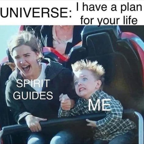 The Universe has a plan for your life Witch Jokes, Funny Spiritual Memes, Witch Meme, Image Positive, E Card, Spirit Guides, Roller Coaster, Bones Funny, Dankest Memes