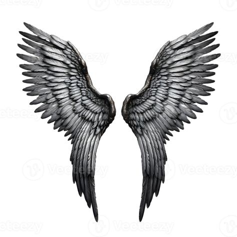 Angel wings transparent background. AI Generated Wings Png, The Angel, Free Png, Angel Wings, Transparent Background, Royalty, Royalty Free, Clip Art, Angel