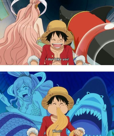 Luffy and Shirahoshi 😂 One Piece Quotes, One Piece Merchandise, One Piece World, My Protein, One Piece Meme, Happy Belated Birthday, One Piece Ship, One Piece Funny, Zoro One Piece