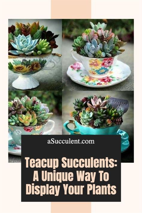 Teacup Succulents: A Unique Way To Display Your Plants Tea Cup Arrangements, Diy Teacup Planter, Diy Succulent Arrangements, Teacup Succulent Diy, Succulent In Teacup, Succulent Tea Cup, Tea Cup Garden Art, Tea Cup Succulent, Succulents In Teacups