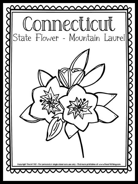 Connecticut State Flower, Connecticut Tattoo, Mountain Laurel Tattoo, State Flower Tattoo, Crafts Fir Kids, Laurel Tattoo, Veil Embroidery, Bird Coloring Page, Laurel Flower