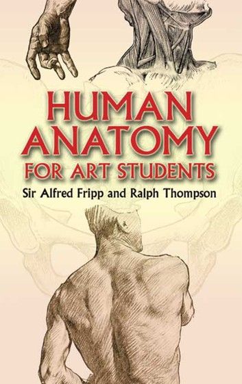 Drawing Muscles, Artistic Anatomy, Human Anatomy Drawing, Art Students, Anatomy For Artists, Personal Library, Art Instructions, The Human Body, Skeletal