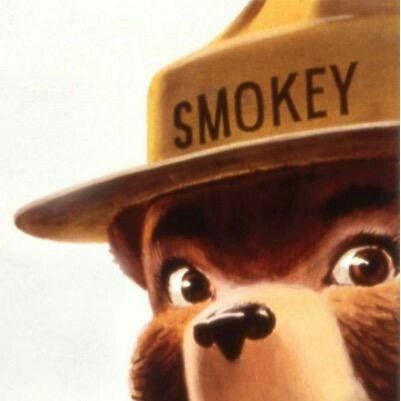 Smoky Bear, Bear Reference, Woodsy Owl, Bear Meme, Campfire Songs, Smokey The Bear, Childhood Things, Smokey Bear, Smokey The Bears