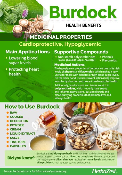 Burdock Root Tea, Medicinal Herbs Remedies, Beeswax Recipes, Herbs For Protection, Medical Herbs, Magic Herbs, Healthy Cholesterol Levels, Herb Recipes, Burdock Root