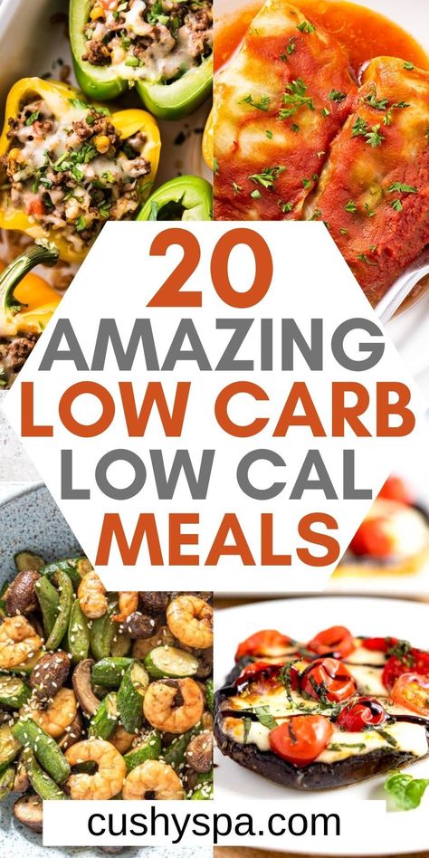 Low Carb Low Calorie Recipes, Low Calorie Recipes Easy, Low Carb Low Calorie, Low Fat Low Carb, Healthy Low Calorie Meals, Low Calorie Dinners, Low Carb Meal, Recipes Low Carb, Calorie Recipes