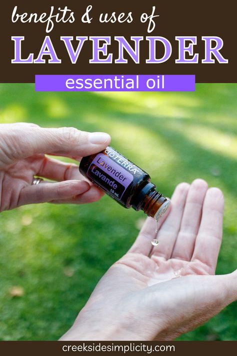 Lavender essential oil is known as 'the swiss army knife of essential oils', because it's so versatile. If you only have one essential oil in your natural toolkit, it should be this one. Read the blog to see my favorite benefits & uses of this gentle yet powerful essential oil. Lavender Oil For Sleep, Lavender Essential Oil Uses, Lavender Oil Benefits, Oil For Cough, Essential Oil Brands, Doterra Lavender, Lavender Benefits, Lavender Water, Essential Oils For Skin