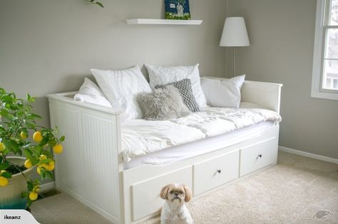 IKEA HEMNES Day Bed Frame with 3 Drawers, White | Trade Me Ikea Hemnes Day Bed, Ikea Hemnes Daybed, Hemnes Day Bed, Ikea Daybed, Hemnes Bed, Day Bed Frame, Daybed Room, Murphy Bed Ikea, Murphy Bed Plans