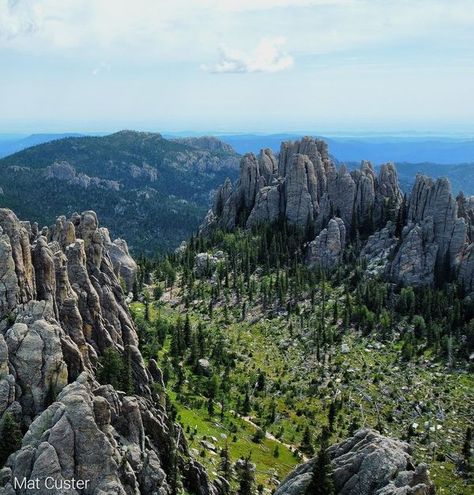 Enjoy South Dakota | 🌲Custer State Park🌲 | Facebook South Dakota Black Hills, Custer State Park, Black Hills, South Dakota, State Park, State Parks, The Black, The End, My Favorite