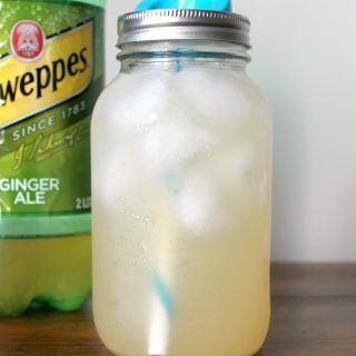 This Ginger Ale GGMS tastes very similar to the popular, sugar-laden bottled soda, and is a Trim Healthy Mama-friendly all-day sipper! Good Girl Moonshine, Thm Smoothies, Trim Healthy Mama Drinks, Amazing Smoothie Recipes, Apricot Smoothie, Thm Drinks, Trim Healthy Recipes, Trim Healthy Mama Plan, Trim Healthy Momma