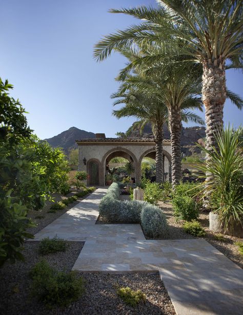 Citrus & Date Palm Pathway - Mediterranean - Landscape - Phoenix - by Exteriors By Chad Robert | Houzz Tuscan Patio, Mediterranean Landscape Design, Palm Trees Garden, Palm Trees Landscaping, Landscape Design Ideas, Date Palm, Mediterranean Landscaping, Mediterranean Design, Planter Pots Outdoor