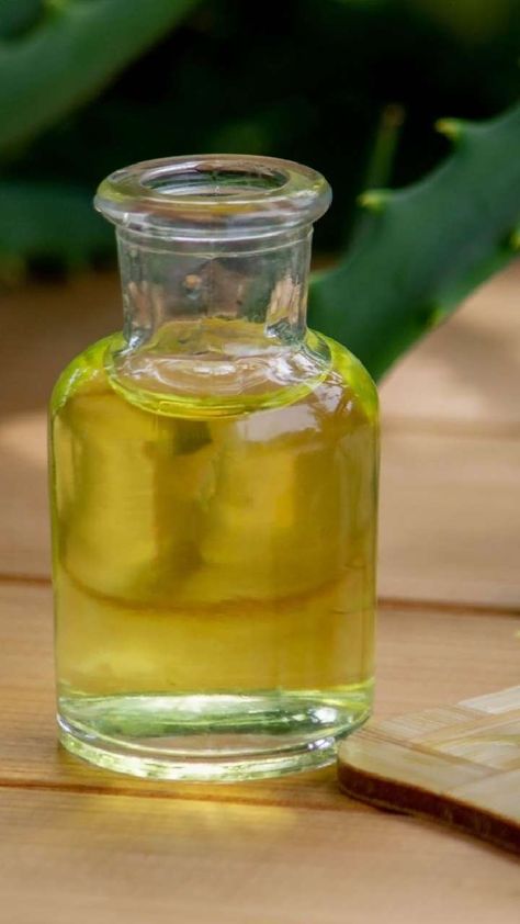 5 Easy Steps To Make Homemade Aloe Vera Oil For Shiny Hair How To Make Aloe Vera Oil Hair Growth, Cyberpunk Hair, For Shiny Hair, Aloe Vera Hair, Aloe Vera Mask, Aloe Vera Hair Mask, Aloe Vera Oil, Homemade Facial Mask, Aloe Vera For Hair