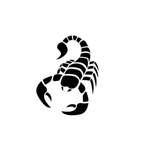 Simple Scorpion Drawing, Scorpion Drawing Simple, Scorpion Vector, Scorpio Art, Anchor Tattoo Design, Tato Henna, Scary Drawings, Pencil Drawings Of Animals, Tattoo Outline Drawing