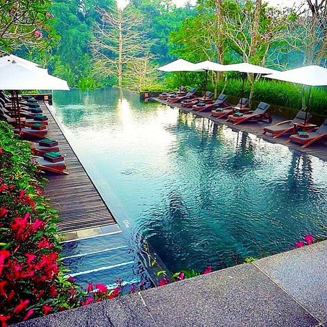 Heaven on earth  Maya Ubud Bali - Indonesia ✨✨ Picture by ✨✨@TimothySykes✨✨ follow him for awesome travel/lifestyle posts!!! Bail Indonesia, Ubud Resort, Indian Railways, Ubud Bali, Destination Voyage, Napoleon Hill, I Want To Travel, Ubud, Travel Inspo