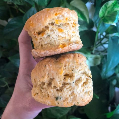 Dairy Free Biscuits, Banana Bread Brownies, Best Vegan Cheese, Vegan Cheddar Cheese, Vegan Biscuits, Vegan Gravy, White Bread Recipe, Vegan Cheddar, Cheese Biscuits