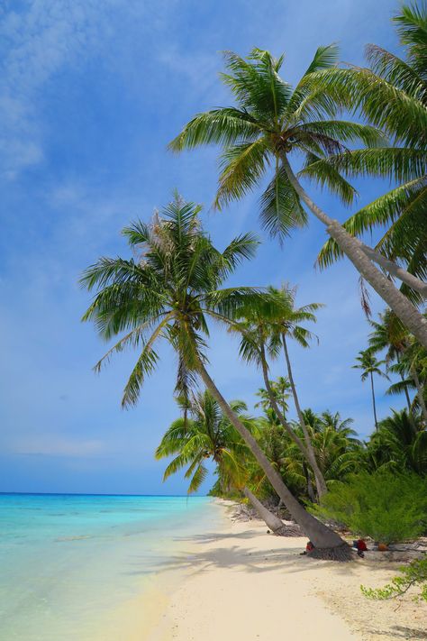 Tropical Beach Resorts, Beach Hammock, Beautiful Beach Pictures, Tropical Beach Wedding, Jamaica Vacation, Beach At Night, Belle Nature, Tropical Beaches, Beach Photo