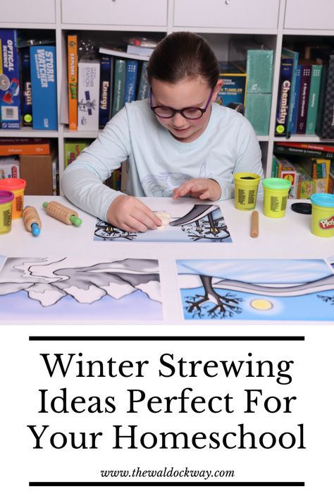 Strewing Ideas, Homeschool Activities Kindergarten, Winter Homeschool, Stem Learning Activities, Winter Sensory Bin, Snowflake Bentley, School Planning, Math Activities For Kids, Winter Books