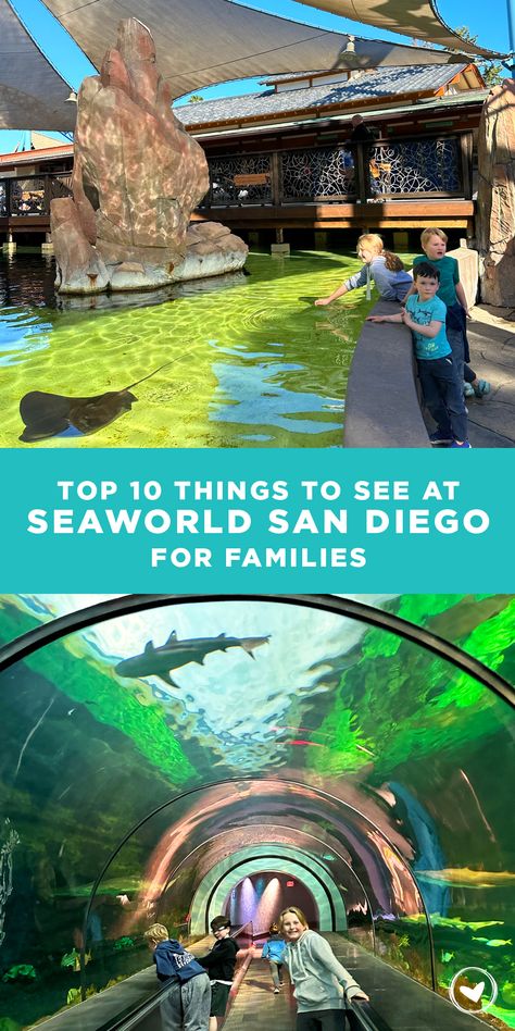 Top 10 Things to See at Seaworld San Diego for Families - BriGeeski Sea World San Diego Tips, Outfits For Seaworld, Seaworld Outfit, Sea World San Diego, San Diego Activities, San Diego Map, Seaworld San Diego, San Diego Food, California Trip