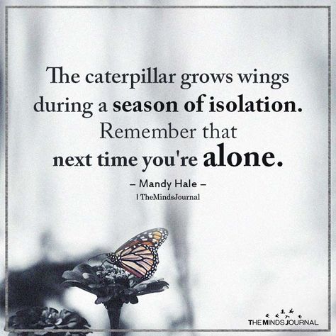 The caterpillar grows wings during a season of isolation. Remember that next time you're alone. Mandy Hale Now Quotes, Inspirerende Ord, Inspirational Thoughts, Quotable Quotes, A Quote, Wise Quotes, Inspiring Quotes, Meaningful Quotes, Caterpillar