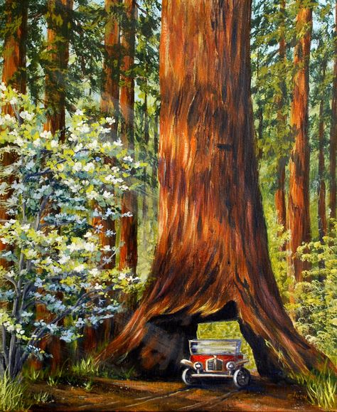 Pioneer Cabin Tree Big Trees acrylic painting by Judy Boles Tree Trunk Painting Ideas, Tree Trunk Painting Acrylic, Big Tree Painting, Big Canvas Painting Ideas Acrylic, Big Tree Drawing, Tree Forest Painting, Tree Trunk Painting, Pioneer Cabin, Cabin Tree