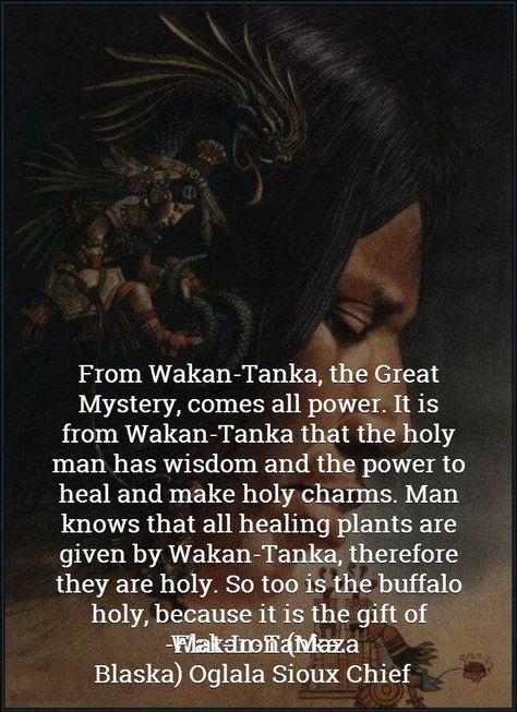 Wakan Tanka, Native American Spirituality, Native American Wisdom, Native American Quotes, Healing Plants, Greatest Mysteries, Warrior Quotes, Native American Culture, American Beauty