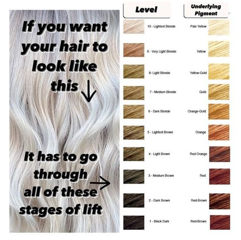 Blonde Highlight Colors Chart, Blonde Highlights On Level 6, Levels Of Bleaching Hair, Level 8 Cool Blonde Hair, Cool Level 8 Blonde, 10 Levels Of Hair Color, Hair Color Levels 1-10 Chart Undertones, Levels Of Brown Hair Chart, Color Levels 1-10 Hair Chart