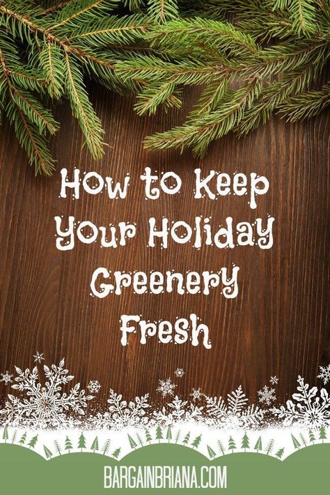 How to Keep Your Holiday Greenery Fresh How To Preserve Cedar Branches, Xmas Wreaths Ideas Vintage Christmas, Yule Practices, Christmas Wreaths Diy Evergreen, Thrifty Christmas, Christmas Tips, Christmas Trimmings, Greenery Centerpiece, Christmas Smell