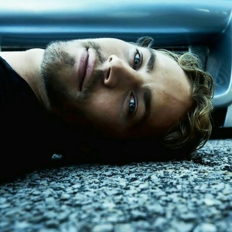 Mr. WALKER Paul Walker Wallpaper, Paul Walker Tribute, Meadow Walker, Fast And Furious Cast, Brian Oconner, Paul Walker Pictures, Furious Movie, Rip Paul Walker, Paul Walker Photos