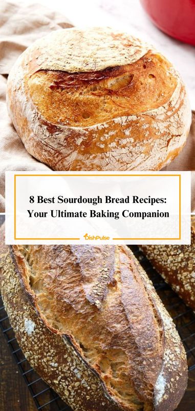 Elevate your baking game with the 8 Best Sourdough Bread Recipes! From crusty loaves to fluffy rolls, discover the art of sourdough baking with these delicious recipes. 🍞🥖 


#SourdoughBread #HomemadeBaking #ArtisanBread #BreadLovers #DishPulse 𝗟𝗼𝘃𝗲 𝘁𝗵𝗶𝘀? 𝗚𝗶𝘃𝗲 𝗶𝘁 𝗮 𝗵𝗲𝗮𝗿𝘁! Best Sourdough Bread Recipe, Best Sourdough Bread, Sourdough Bread Recipes, Best Baklava Recipe, Homemade Sourdough Bread Recipes, Fluffy Rolls, Saltimbocca Recipe, Easy Sourdough Bread Recipe, Boiled Egg Recipes