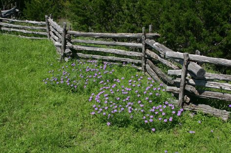 Get these 26 Garden Fence Ideas That Won’t Break the Bank - Matchness.com Farm Makeover, Colonial Landscaping, Barn Landscaping, Log Fence, Wildflower Gardens, Pasture Fencing, Wooden Fences, Hunting Property, Split Rail Fence