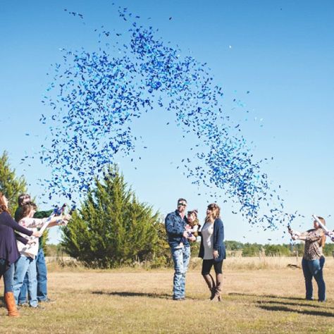 Umbrella Gender Reveal Photoshoot, Umbrella Gender Reveal, Umbrella Gender Reveal Confetti, Cotton Candy Gender Reveal Photo, Gender Reveal Confetti Cannon Photos, Gender Reveal Powder Cannon, Cannon Gender Reveal, Gender Reveal Poppers, Confetti Photography