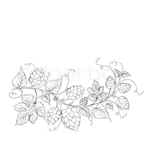 Hop Tattoo Women, Hops Tattoo Ideas, Hop Vine Tattoo, Hop Tattoo Ideas, Garland Tattoo, Hops Vine Tattoo, Hops Illustration, Hop Vines, Beer Hops Art