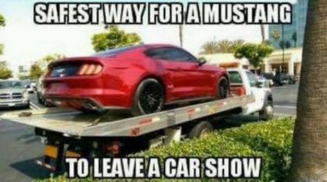 11. Mustang Meme, Mustang Humor, 2015 Mustang Gt, Car Jokes, Car Throttle, Mustang Car, For Mustang, Ford Powerstroke, 2015 Mustang