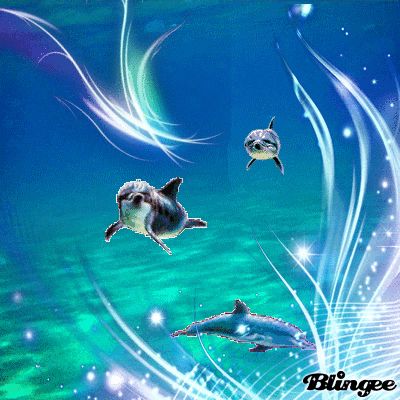 Magical Dolphin Song The Bunny, Finding New Friends, Online Photo Editor, Whales, Creative Community, Animation Art, Online Photo, Photo Editor, Dolphins