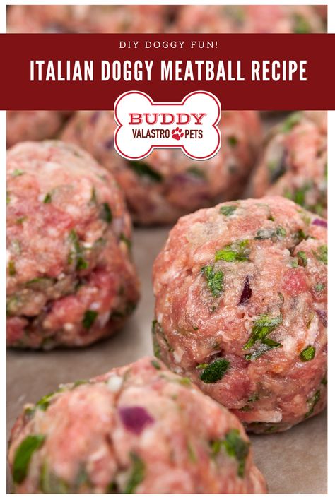 Puppy Meatballs, Hamburger Dog Treats, Dog Meatballs Food Recipes, Meatballs For Dogs Recipes, Dog Meatballs, Meatballs For Dogs, Dog Dinner Recipes, Dog Meatloaf Recipe, How To Cook Hamburgers