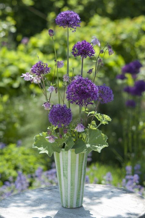 Unusual bouquet of Allium 'Purple Sensation' Allium Bouquet, Allium Giganteum, White Flower Arrangements, Interior Design Images, Arrangement Ideas, Flowers Arrangements, Floral Designs, Flowers Bouquet, White Flowers