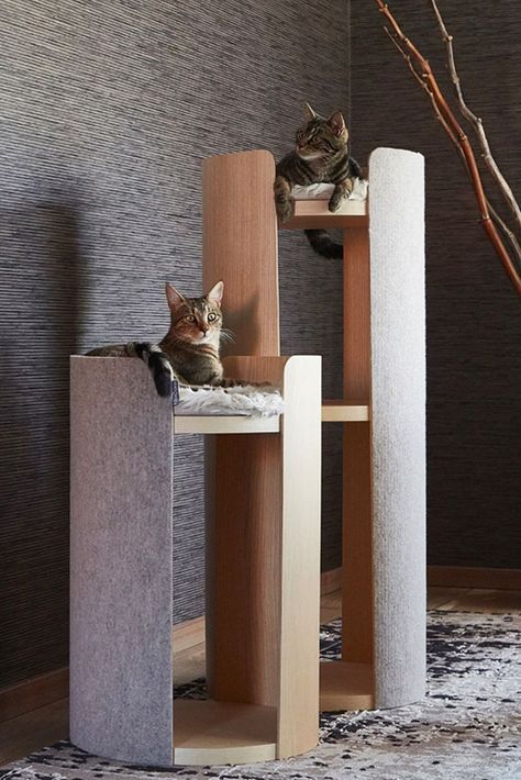 Modern cat tree by Miacara Cat Play Area, Modern Cat Tower, Toilette Design, Niche Chat, Modern Cat Furniture, Modern Cat Tree, Cat Towers, Cat Hacks, Modern Pet