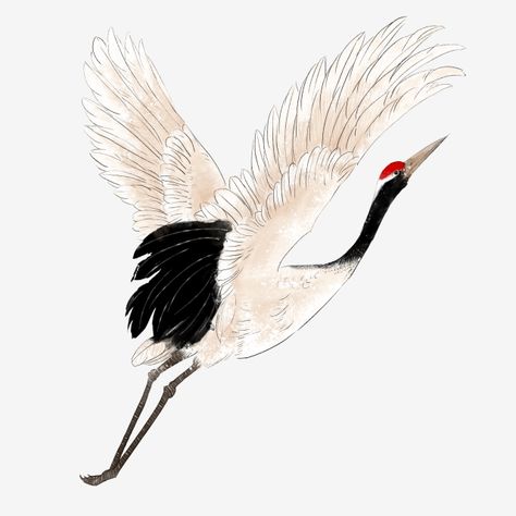 Crane Drawing, Crane Tattoo, Crane Fly, Chinese Folk Art, Japanese Bird, White Crane, Japanese Crane, Chinese Brush Painting, Japanese Sleeve Tattoos