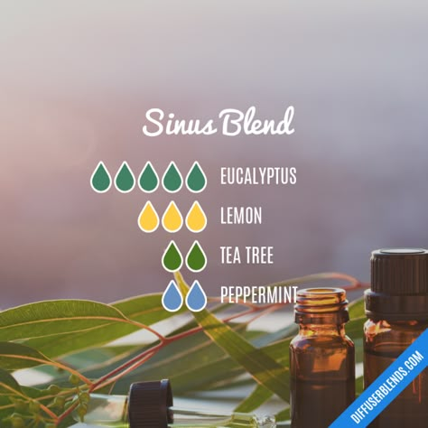 Sinus Cold Diffuser Blends, Doterra Sinus Diffuser, Sinus Infection Relief Essential Oils Roller, Diffuser Blends For Sinus Headache, Essential Oil Blends For Illness, Sinus Oil Blend, Breathe Oil Blend, Essential Oil Cold Remedy Diffuse, Essential Oils For Sinus Infection Diffuser