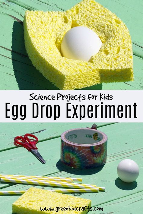 Science for Kids Egg Drop Experiment ... Egg Drop Designs, Egg Drop Experiment, Egg Drop Challenge, Egg Drop Project, Kids Science Fair Projects, Prek Science, Science Assignment, Egg Experiments, Steam Kids