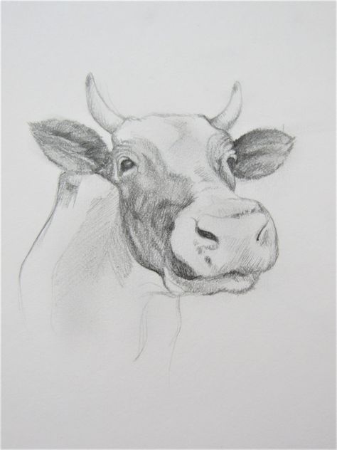 Drawing animals stretches far beyond popular drawings of cats and dogs. This realistic pencil sketch of a cow is a great example of new drawing ideas and pet portraiture that is different. #animals #drawinganimals #animalart #cows #cowdrawing #portrait #animalportraiture #drawing #sketching #sketchbook #realisticdrawings #cute #art #drawingidea Popular Drawings, Cow Faces, Fork Bow, Drawings Of Cats, Realistic Pencil Sketch, Pencil Drawings Of Nature, Cow Sketch, Pet Portraiture, Awesome Drawings